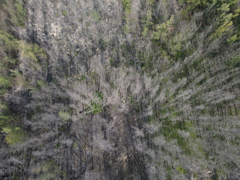 z7023164379523-e85faaf118a8b40251beeef334952200.jpg