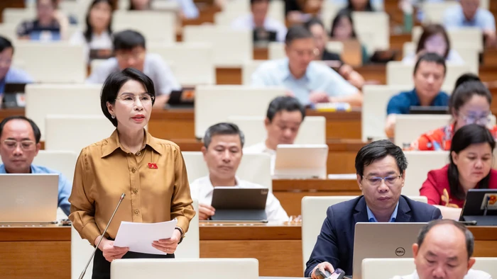 Đại biểu Trần Thị Nhị Hà góp ý về Dự thảo Luật Thanh tra sửa đổi tại Quốc hội sáng 22/5. (Ảnh: Cổng TTĐT Quốc hội)