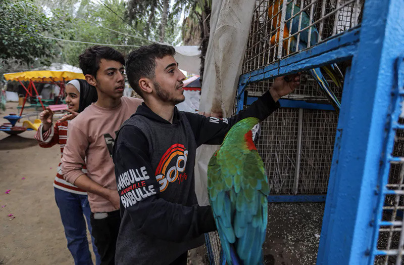 Hình ảnh con người và động vật đói khát tại vườn thú ở Gaza 