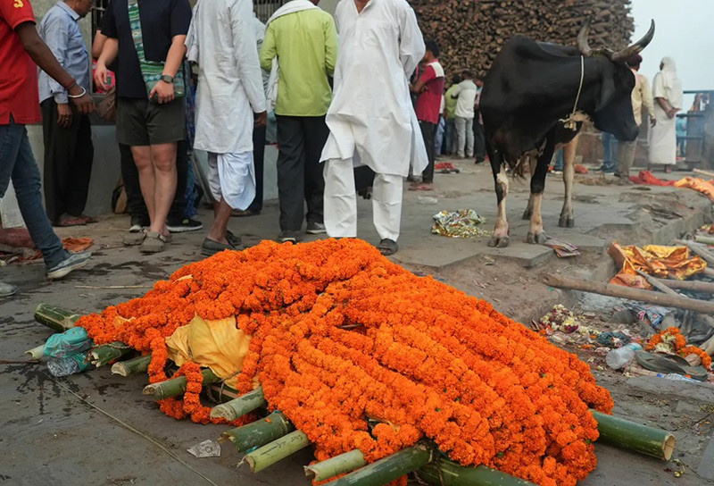 Chùm ảnh nơi những lão niên Hindu cố gắng phá vỡ vòng luân hồi