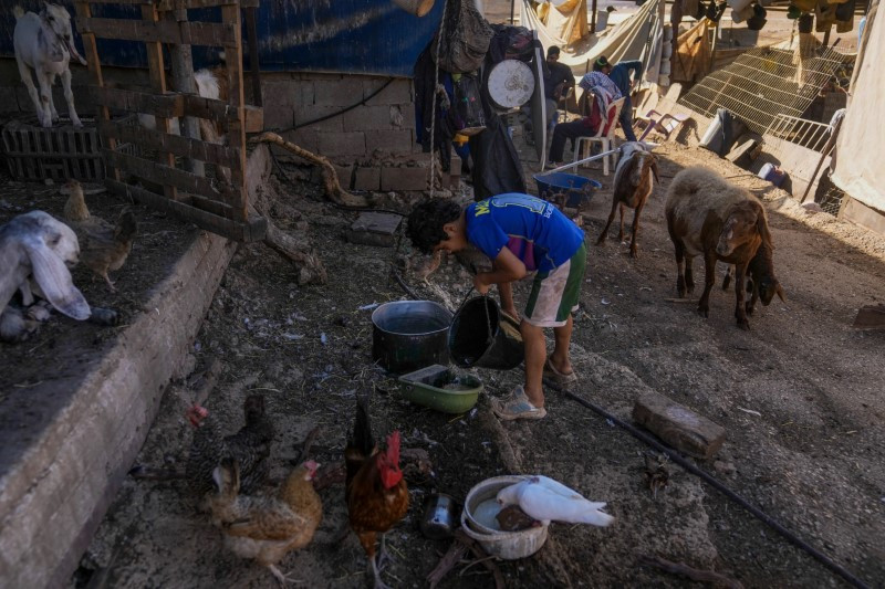 Cơn khát của người Palestine