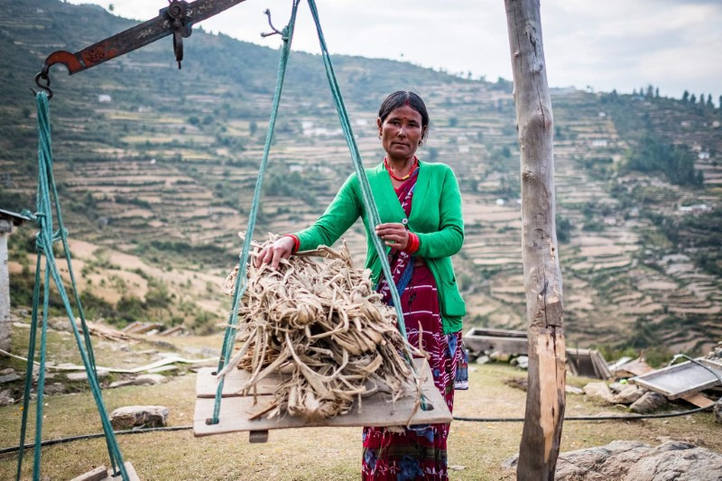 Chùm ảnh làm giấy độc đáo ở Nepal 