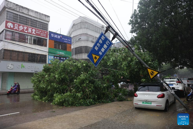 Chùm ảnh bão Talim quật đổ cây, hoành hành ở Trung Quốc 