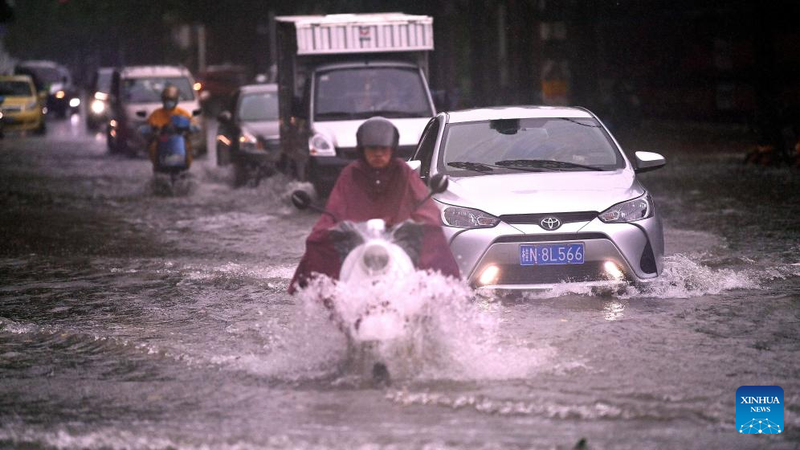 Chùm ảnh bão Talim quật đổ cây, hoành hành ở Trung Quốc 