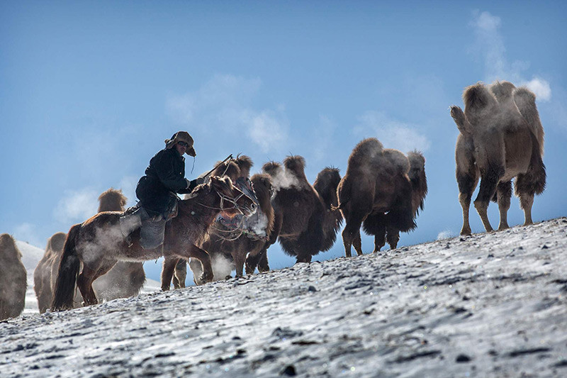 Chùm ảnh cuộc sống du mục độc đáo của người Kazakhstan