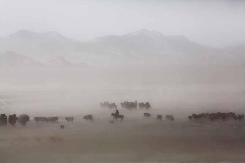 Chùm ảnh cuộc sống du mục độc đáo của người Kazakhstan