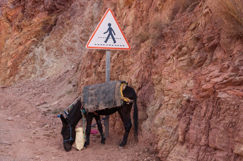 Ảnh những vị cứu tinh sau động đất ở Maroc 