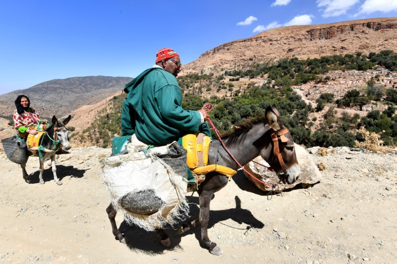 Ảnh những vị cứu tinh sau động đất ở Maroc 