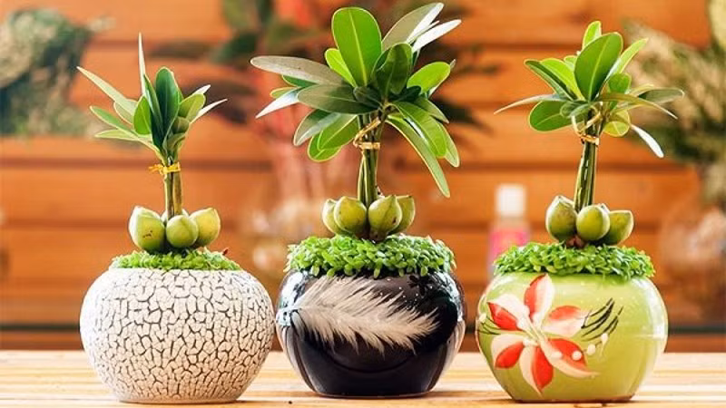 Tử vi 12 cung hoàng đạo 16/10: Bạch Dương, Ma Kết hạnh phúc tràn đầy