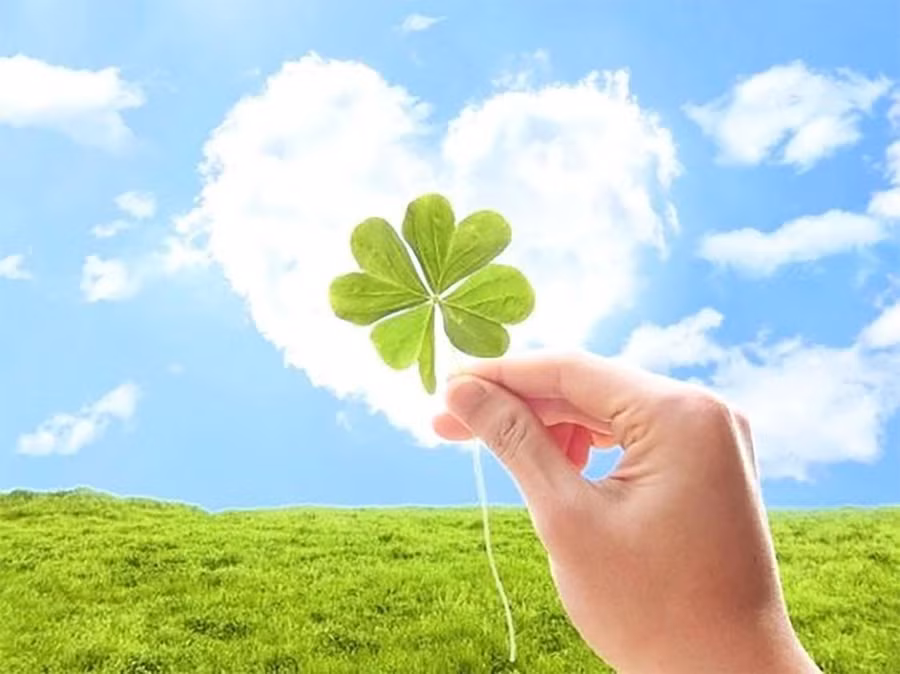 Tử vi 12 cung hoàng đạo 12/6: Sư Tử, Ma Kết vận may đang đến, làm gì cũng thành công