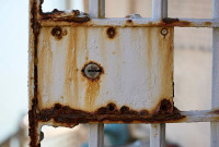 chum-anh-nha-tu-alcatraz-060505-04.jpg