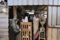 chum-anh-lhq-canh-bao-ke-hoach-phan-phoi-vien-tro-gaza-0505-07.jpg
