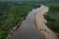 chum-anh-cuoc-dua-cuu-loai-ca-sau-orinoco-khoi-tuyet-chung-012.jpg