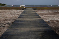 chum-anh-rong-bien-tran-ngap-bai-bien-caribe-08.jpg