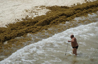 chum-anh-rong-bien-tran-ngap-bai-bien-caribe-09.jpg