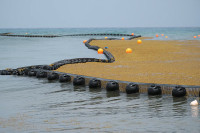 chum-anh-rong-bien-tran-ngap-bai-bien-caribe-04.jpg