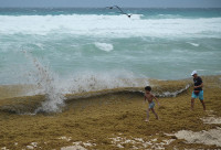 chum-anh-rong-bien-tran-ngap-bai-bien-caribe-017.jpg
