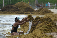 chum-anh-rong-bien-tran-ngap-bai-bien-caribe-05.jpg