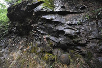 ngon-nui-biet-de-trung-ky-la-khien-khoa-hoc-bo-tay-2.jpg