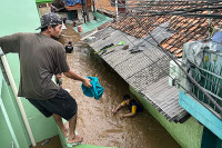 chum-anh-lu-lut-o-jakarta-indonesia-040305-01.jpg