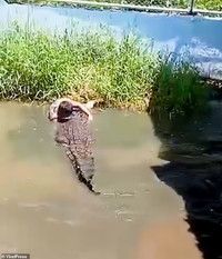 video-du-khach-tra-gia-dat-vi-vao-chuong-ca-sau-chup-anh-7.jpg