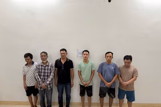 Những người liên quan đường dây cá độ bóng đá. Ảnh: Công an cung cấp