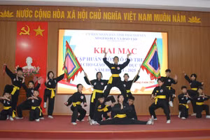 Một tiết mục trình diễn Võ cổ truyền tại chương trình tập huấn.