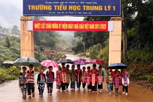 Trường Tiểu học Trung Lý 1, tỉnh Thanh Hóa. Ảnh: NTCC