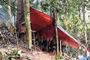 Lán trại của nhóm người đào vàng trái phép ở rừng phòng hộ, thuộc xóm Nà Lụt, xã Thành Sơn (Mai Châu, Hòa Bình). (Ảnh: Ban quản lý Khu BTTN Pù Luông cung cấp)