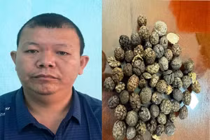 Bị can Nguyễn Bằng Giang. Ảnh: CACC