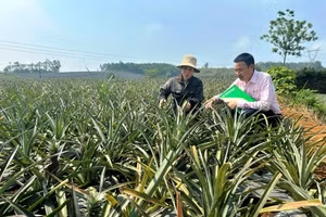 Từ nguồn vốn tín dụng, nhiều hộ nghèo, gia đình chính sách ở xã Vân Du (Thanh Hóa) đã đầu tư phát triển kinh tế hiệu quả. Ảnh. Trần Hằng