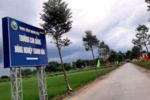 Trường Cao đẳng Nông nghiệp Thanh Hóa - nơi xảy ra sự việc. Ảnh: NTCC