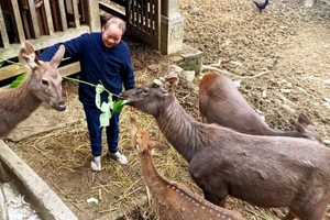 Mô hình nuôi hươu lấy nhung của gia đình ông Hà Văn Xuân, ở bản Bút, xã Nam Xuân (Thanh Hóa). 