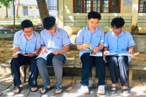 Ảnh minh họa/internet.