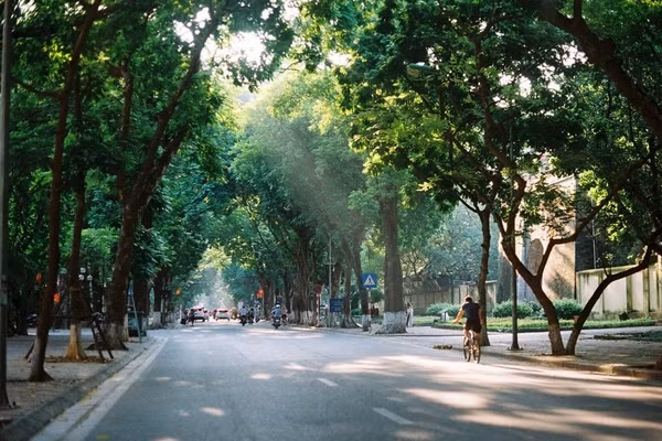 Ảnh minh họa.