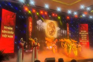 Sau 50 năm, sân khấu Việt Nam phát triển đáng kể ở cả kịch nói, chèo, tuồng, cải lương, múa rối và nghệ thuật biểu diễn hiện đại.