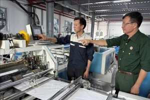 Sản xuất bao bì tại Công ty Cổ phần Trịnh Nghiên (xã Quỹ Nhất, tỉnh Ninh Bình). Ảnh minh họa: TTXVN