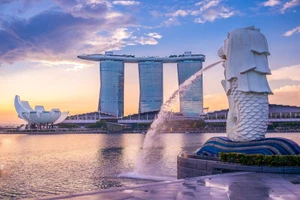 Tỷ lệ đọc viết ở lao động trưởng thành tại Singapore nằm ở mức thấp.