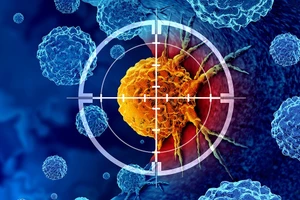 Chiến lược điều trị ung thư mới loại bỏ khả năng thích nghi và kháng trị của tế bào ung thư.