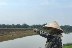 Người dân bày tỏ lo lắng khi hiện tượng sạt lở đe dọa đến đất canh tác.