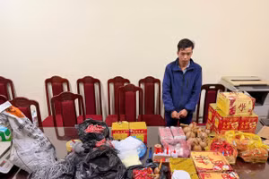 Vũ Quang Phúc sản xuất, vận chuyển pháo nổ trái phép.