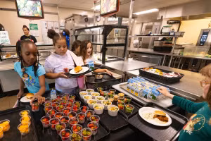 Học sinh Thụy Điển chọn ăn lành mạnh nhờ mô hình bữa ăn bền vững.