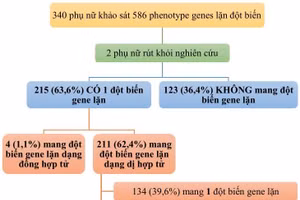 Bảng tóm tắt kết quả nghiên cứu.