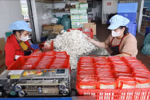  Công nhân Công ty TNHH Bánh kẹo đặc sản Thiên Đức (xã Đông Hưng) hối hả sản xuất các sản phẩm để phục vụ thị trường Tết.