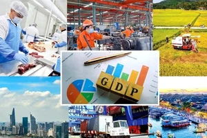 Tăng trưởng GDP năm 2025 ước đạt khoảng 8%, GDP bình quân đầu người ước đạt 5.000 USD.