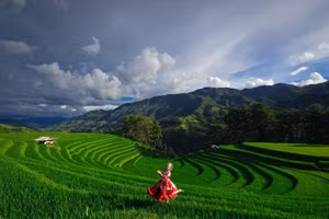 Vẻ đẹp siêu thực hàng đầu thế giới của Mù Cang Chải 