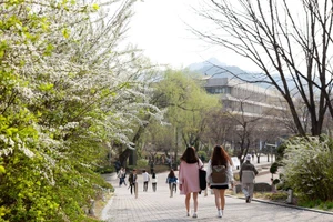 Đại học Quốc gia Seoul từ chối 2 thí sinh có tiền án bắt nạt.