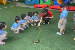 Hoạt động vui chơi ngoài trời của học sinh Trường Mầm non Hoa Hồng.