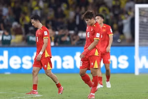 Đội tuyển Việt Nam đã trở lại mặt đất sau chức vô địch ASEAN Cup 2024. Ảnh: INT.