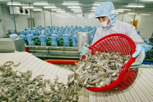 Tôm là một trong bảy sản phẩm, nhóm sản phẩm có giá trị xuất khẩu đạt trên 1 tỷ USD.
